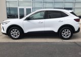 Certified 2023 Ford Escape Active image 4