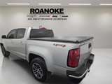 Used 2019 Chevrolet Colorado W/T w/ Custom Special Edition image 5
