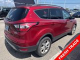 Used 2017 Ford Escape SE w/ Equipment Group 201A image 4