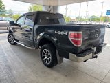 Used 2010 Ford F150 XLT image 4