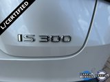 Certified 2023 Lexus IS 300 w/ Comfort Package image 4