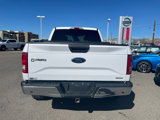 Used 2015 Ford F150 XLT image 4