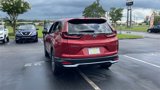 Used 2020 Honda CR-V EX image 5