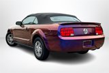 Used 2007 Ford Mustang Convertible image 4