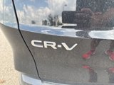 Used 2024 Honda CR-V EX-L image 5