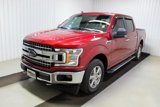 Used 2019 Ford F150 XLT w/ Equipment Group 302A Luxury image 3