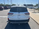 Used 2020 Ford Escape Titanium image 6