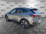 New 2025 Ford Escape ST-Line Select w/ Tech Pack #2 image 3