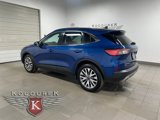 Used 2022 Ford Escape Titanium image 4