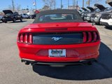 Used 2022 Ford Mustang Premium image 5