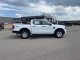 New 2025 Ford Ranger XL image 4