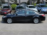 Used 2012 Honda Accord EX-L image 5