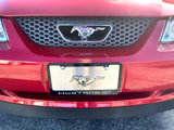 Used 2001 Ford Mustang GT image 2