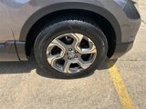 Used 2019 Honda CR-V EX-L image 6