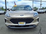 Certified 2020 Ford Escape SE image 2