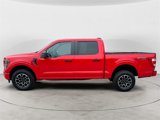 Used 2023 Ford F150 XL w/ STX Appearance Package image 2