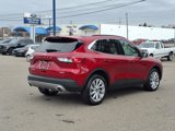 Certified 2022 Ford Escape Titanium w/ Titanium Elite Package image 4