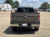 Used 2014 Ford F150 XLT w/ Equipment Group 302A Luxury image 6