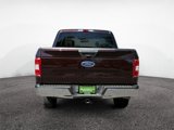 Used 2019 Ford F150 XLT w/ Equipment Group 301A Mid image 5