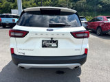 Used 2023 Ford Escape Platinum w/ Premium Technology Package image 3