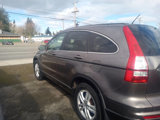 Used 2010 Honda CR-V EX-L image 4