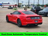 Used 2023 Ford Mustang Coupe w/ Equipment Group 101A image 5