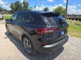 New 2025 Ford Escape ST-Line w/ Cold Weather Package image 5