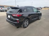 Used 2024 Ford Escape ST-Line image 5