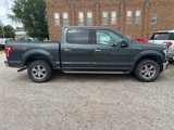 Used 2015 Ford F150 XLT w/ Equipment Group 302A Luxury image 3