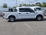 Used 2019 Ford F150 XLT w/ Equipment Group 301A Mid image 3