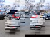 Used 2019 Honda CR-V EX-L image 5