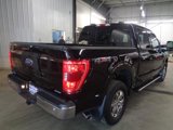 Certified 2022 Ford F150 XLT w/ Equipment Group 302A High image 4