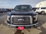 Used 2016 Ford F150 XLT w/ Equipment Group 302A Luxury image 2