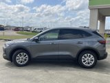 New 2025 Ford Escape Active w/ Tech Pack #1 image 6
