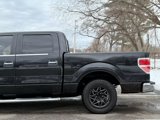 Used 2014 Ford F150 XLT w/ Equipment Group 302A Luxury image 6
