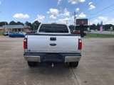 Used 2013 Ford F250 XLT w/ XLT Value Pkg image 4