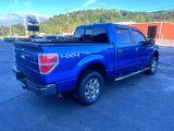 Used 2013 Ford F150 XLT w/ Luxury Equipment Group image 5