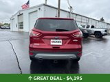 Used 2014 Ford Escape SE image 5
