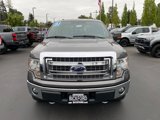 Used 2013 Ford F150 XLT w/ Luxury Equipment Group image 2