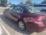 Used 2010 Honda Accord EX image 4