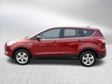 Used 2014 Ford Escape SE image 4