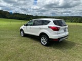 Used 2019 Ford Escape SE image 3