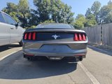 Used 2015 Ford Mustang Coupe w/ Equipment Group 051A image 4