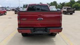 Used 2014 Ford F150 FX4 w/ Equipment Group 402A Luxury image 4