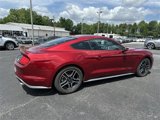 Used 2019 Ford Mustang Coupe w/ Equipment Group 101A image 5