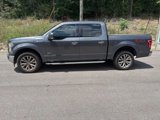 Used 2017 Ford F150 XLT w/ Equipment Group 302A Luxury image 4