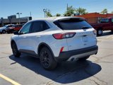 Used 2021 Ford Escape SE w/ Convenience Package image 4