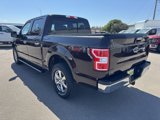 Used 2018 Ford F150 XLT w/ Equipment Group 302A Luxury image 5
