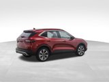 Used 2024 Ford Escape Platinum image 5