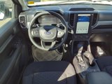 New 2024 Ford Ranger XL image 3